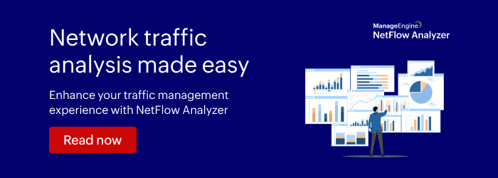 NetFlow Analyzer.